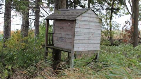 First Time W/Pikaswed420 19' - IMG_9073.jpg