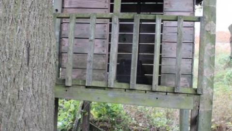 First Time W/Pikaswed420 19' - IMG_9074.jpg