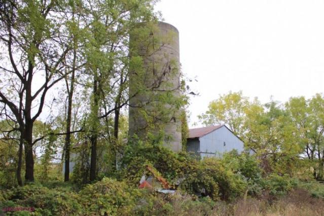 596 Plains Rd photo 3