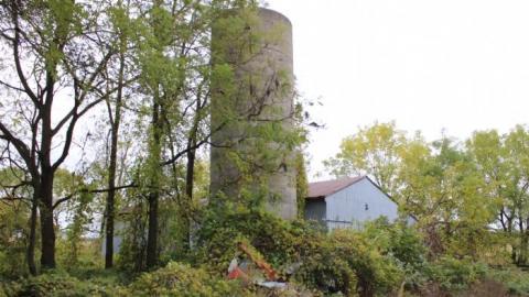 596 Plains Rd photo 3