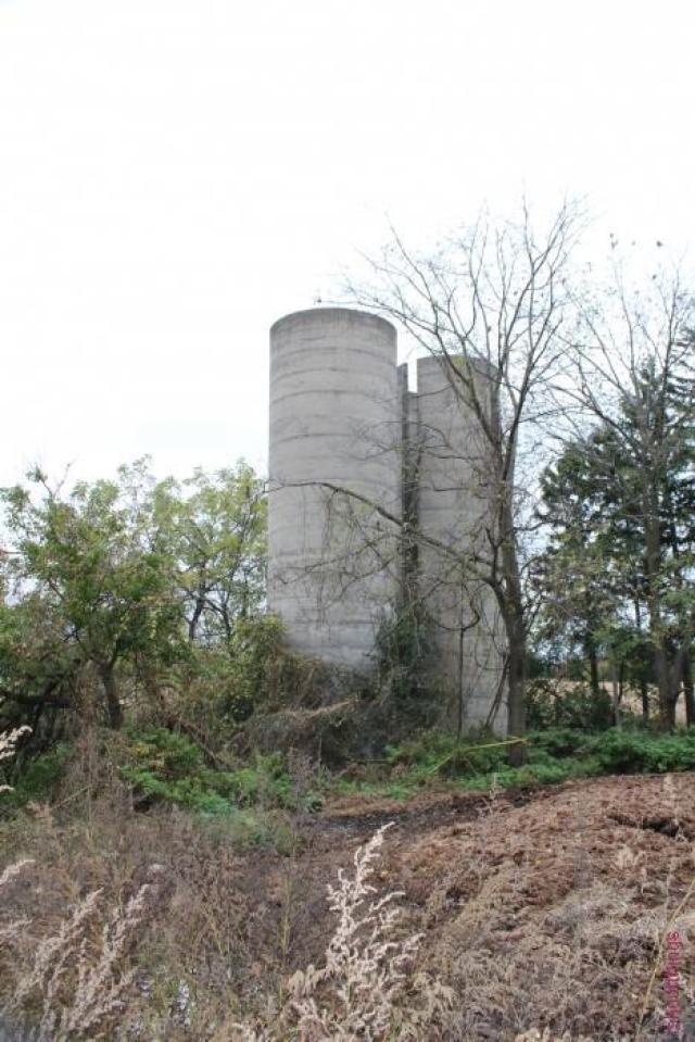 596 Plains Rd photo 5