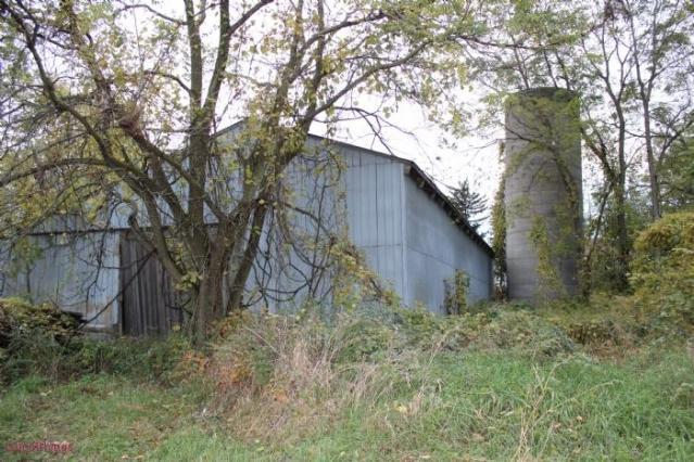 596 Plains Rd photo 4