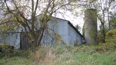 596 Plains Rd photo 4