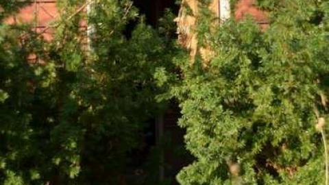 Barn and House - Woodbine-Farmhouse11.jpg