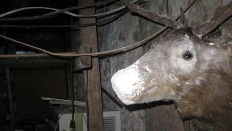 forbes - Forbes-and-Russel-Road9.jpg