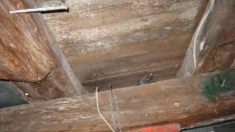 Forbes and Russel Road photo 2