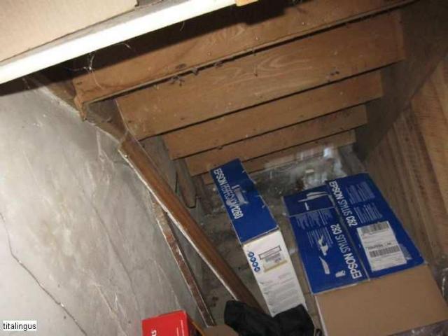 Forbes and Russel Road photo 5