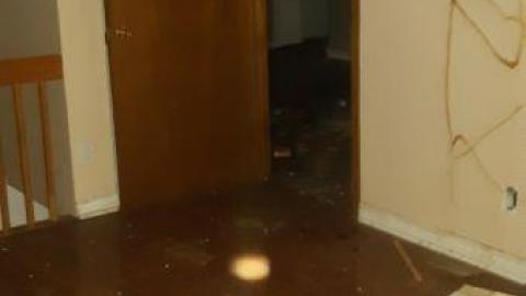 worth the trek - 20200620_162633.jpg