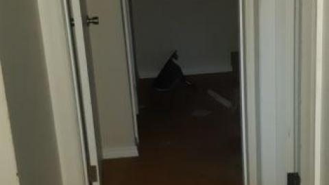 Photo from worth the trek