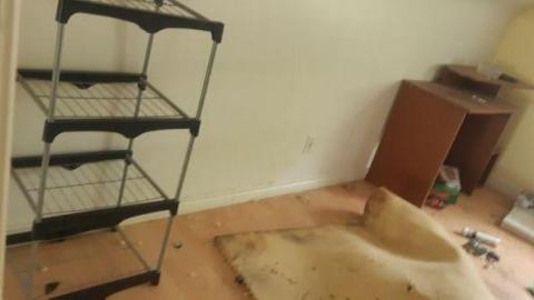 worth the trek - 20200620_163207.jpg