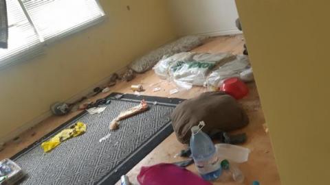 worth the trek - 20200620_163214.jpg