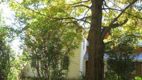 forbes - Forbes-and-Russel-Road16.jpg