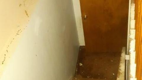 worth the trek - 20200620_164642.jpg