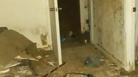 worth the trek - 20200620_165004.jpg