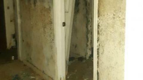 worth the trek - 20200620_165007.jpg