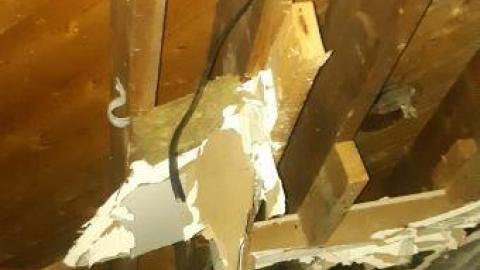 worth the trek - 20200620_165024.jpg