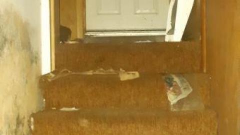 worth the trek - 20200620_165221.jpg