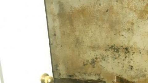 worth the trek - 20200620_165245.jpg