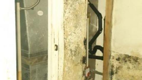 worth the trek - 20200620_165309.jpg