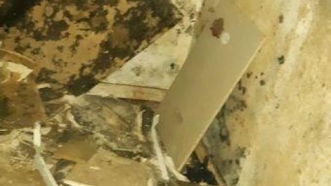 worth the trek - 20200620_165312.jpg