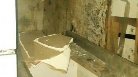 worth the trek - 20200620_165329.jpg