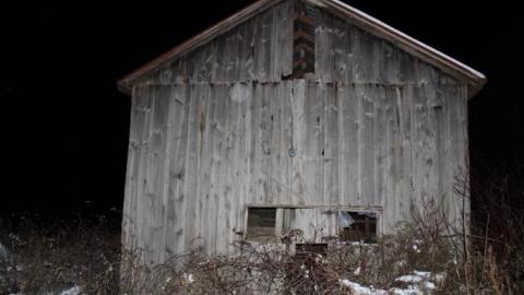 It Was MASSIVE - IMG_0331.jpg