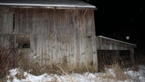 It Was MASSIVE - IMG_0336.jpg