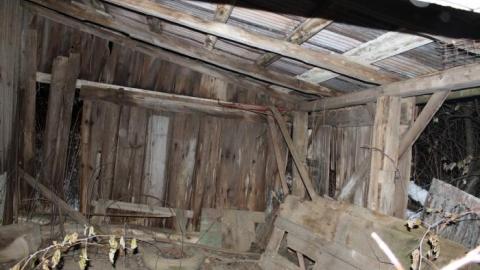 It Was MASSIVE - IMG_0337.jpg