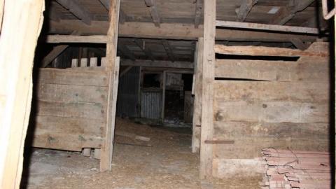 It Was MASSIVE - IMG_0339.jpg