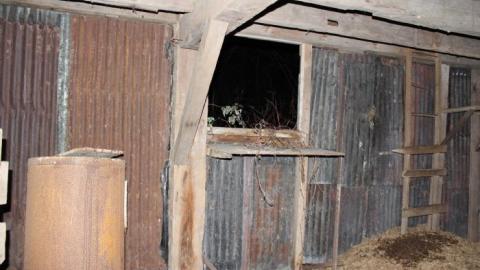 It Was MASSIVE - IMG_0341.jpg