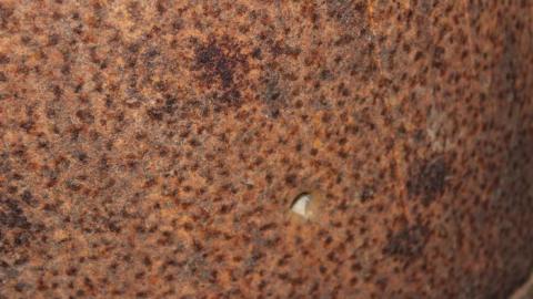 It Was MASSIVE - IMG_0344.jpg