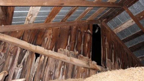 It Was MASSIVE - IMG_0346.jpg