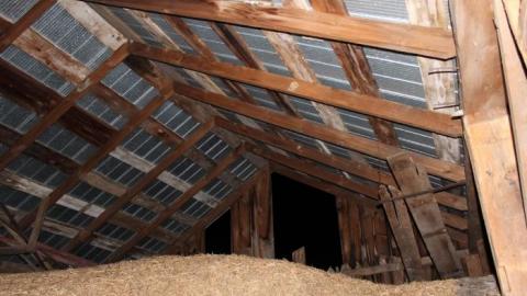 It Was MASSIVE - IMG_0347.jpg