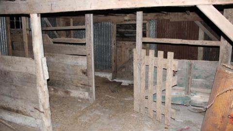 It Was MASSIVE - IMG_0352.jpg