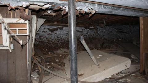 It Was MASSIVE - IMG_0362.jpg