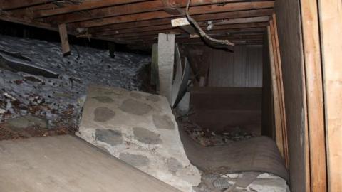 It Was MASSIVE - IMG_0364.jpg