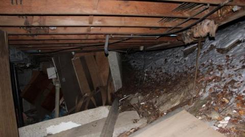 It Was MASSIVE - IMG_0370.jpg