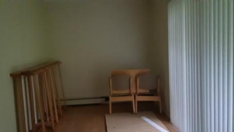 baby raccoon  - dnkkmkkvzbqefuulmxywaruumnnbllobhfsupefrkneye20200622_194121.jpg