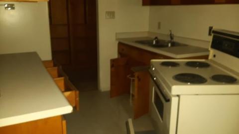 baby raccoon  - cnughkawhlztnzlntpnokwugkxtawjncphvibndfyynxs20200622_194311.jpg