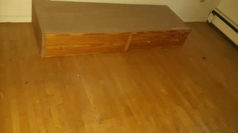 baby raccoon  - tucekfikgeggtiaufvtjcxapudppwxeduusacsrcqasjw20200622_194820.jpg