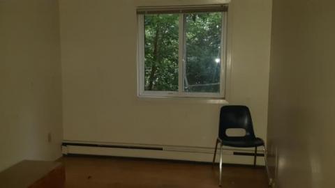 baby raccoon  - qngbugdrlepjpdzukkuwdsgxpuwwadqnzfbmmxbmubkxy20200622_194912.jpg