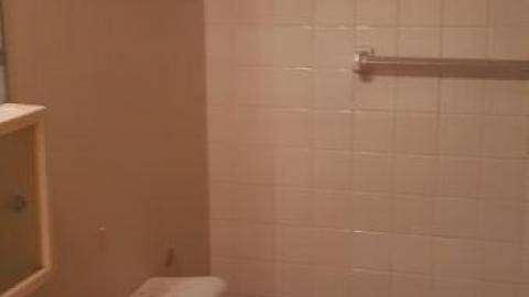 baby raccoon  - hluqsvvwooixwzgxopvlvruohiobdmimouaaeceverkve20200622_194932.jpg