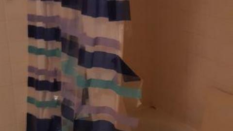 baby raccoon  - emgejbliftbsyzheeamqzvshrdyxeozqzmafdwoszcecn20200622_194936.jpg