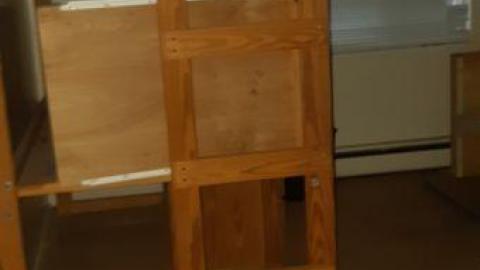 baby raccoon  - asuawocxudinkacqvohixswmfljbmqlhmhsrvkhqinikq20200622_195013.jpg