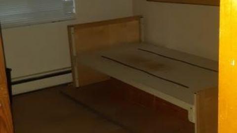 baby raccoon  - pydzkpnxcoumkmbrgopthberwzzsexvrumjbesmhfwcrl20200622_195020.jpg