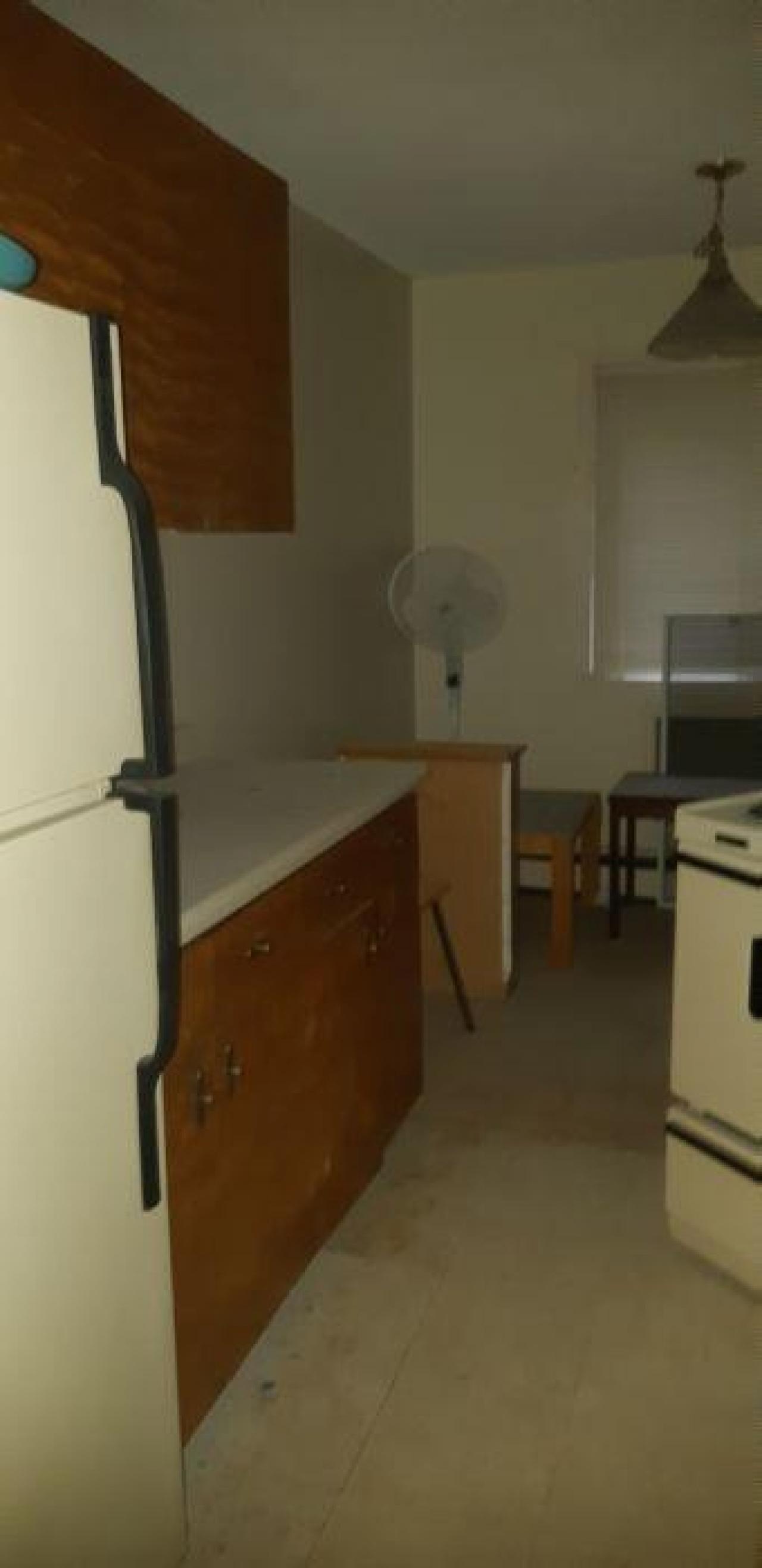 baby raccoon  - blnrlmjenxxaqyahymlovdjhdjvnlctizgezvwgdguqyw20200622_195221.jpg