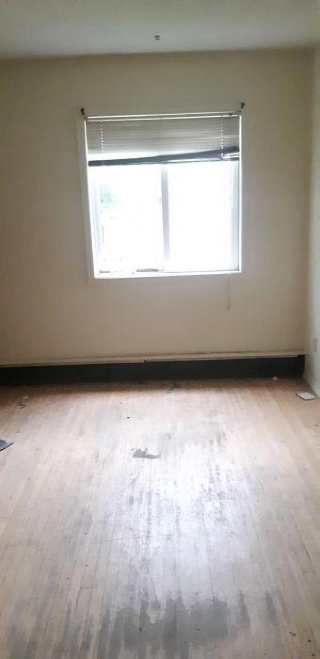 baby raccoon  - jdqolqabfucgezysxyvdhcvstutzvsinudjzprgxqgrfi20200622_195320.jpg