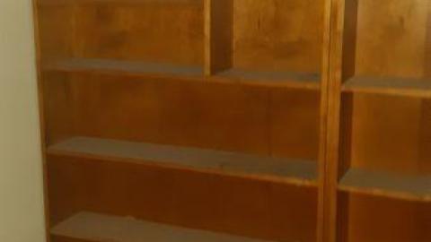 baby raccoon  - koymydfppodsmbzhdpkuqllmnsywldvculswtptorntyx20200622_195402.jpg