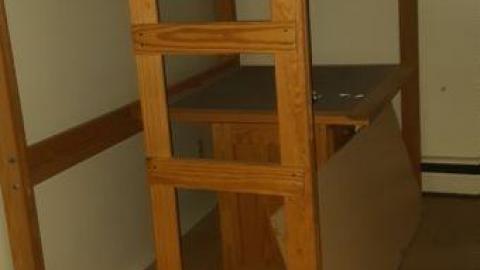 baby raccoon  - wcblficvdjxjafyuikpjtbhpmikaehihprhjykxixjzms20200622_195527.jpg