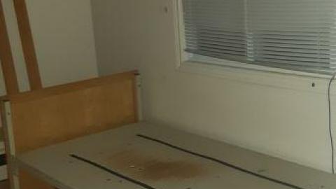 baby raccoon  - qyyvgpcjwhpofisaiyjgzbuikldekpohckepyyqgrfwwu20200622_195535.jpg